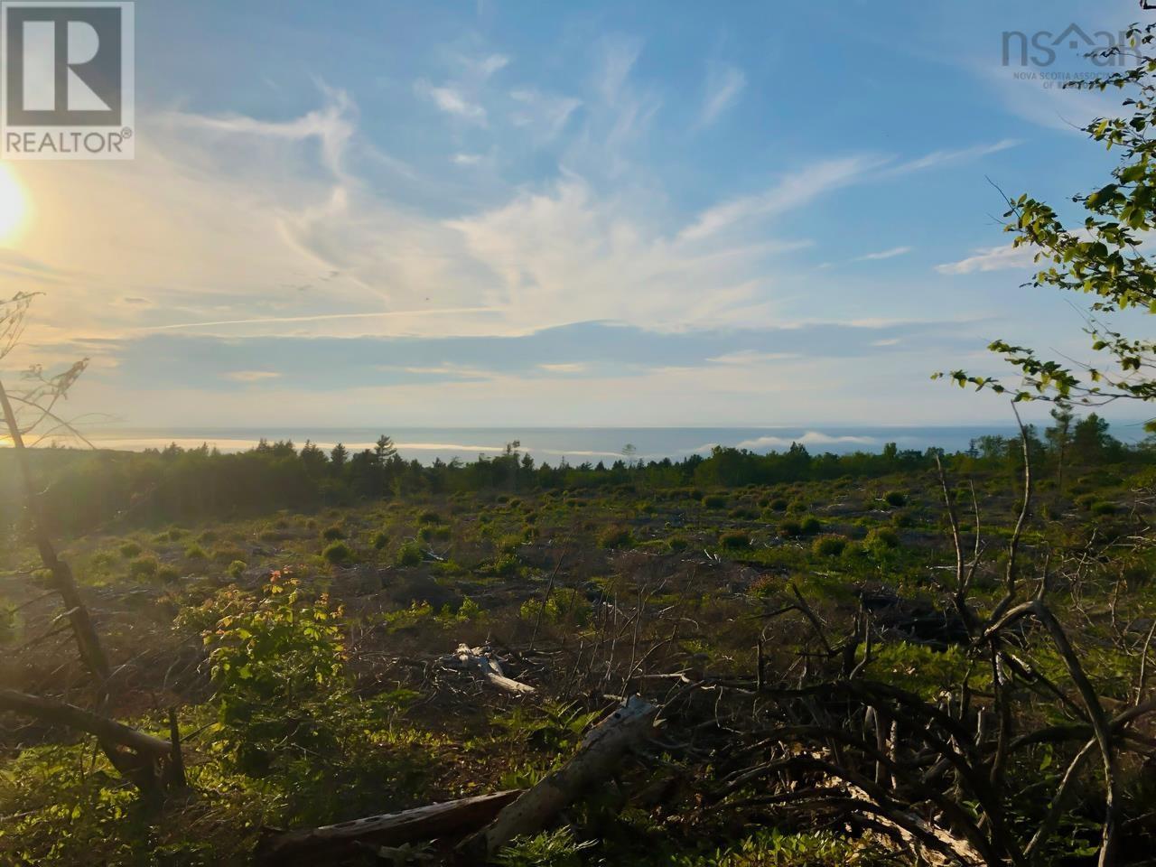 Property 18 of 23 of 1269 Hampton Mountain Road