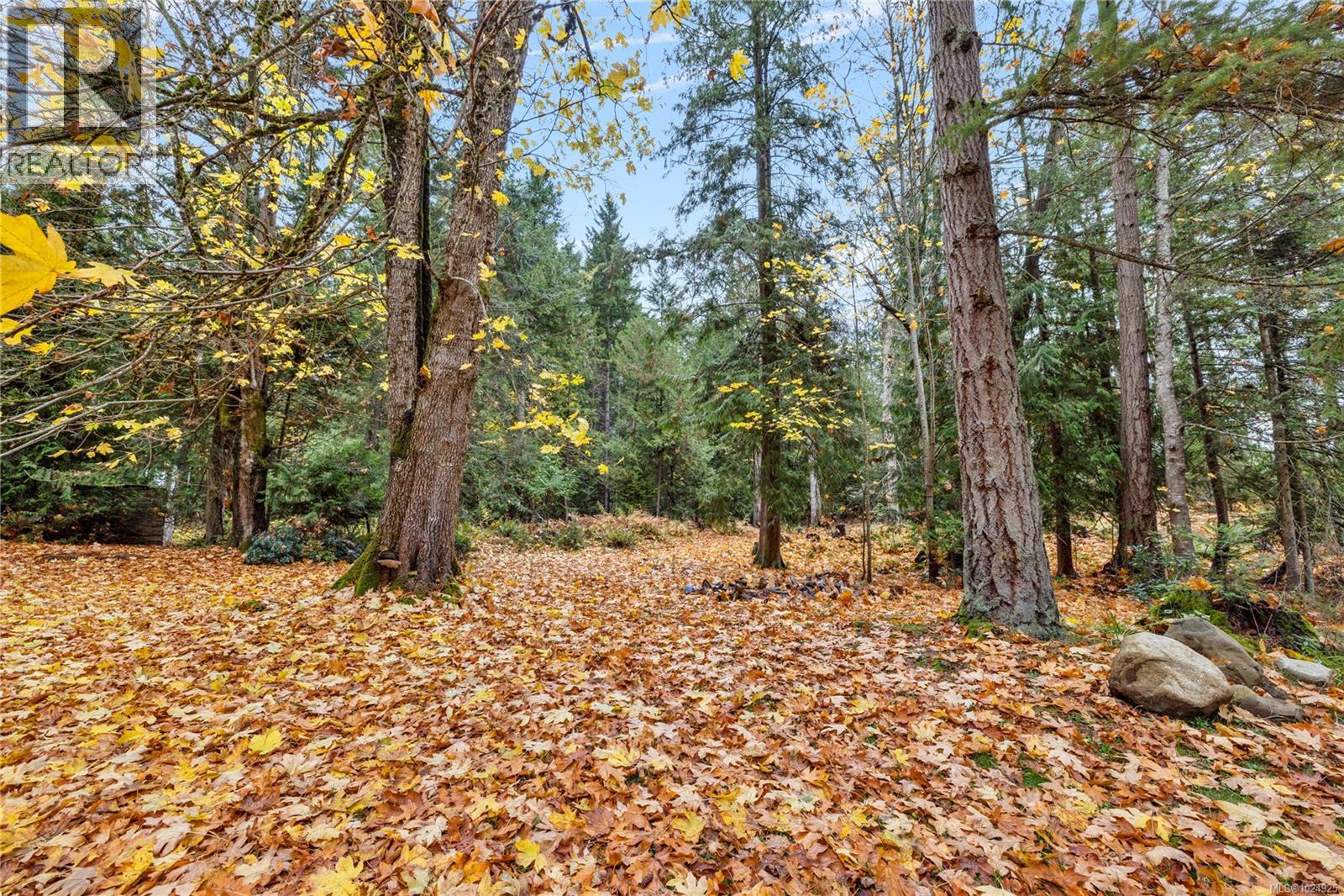 2328 Yellow Point Rd - 34