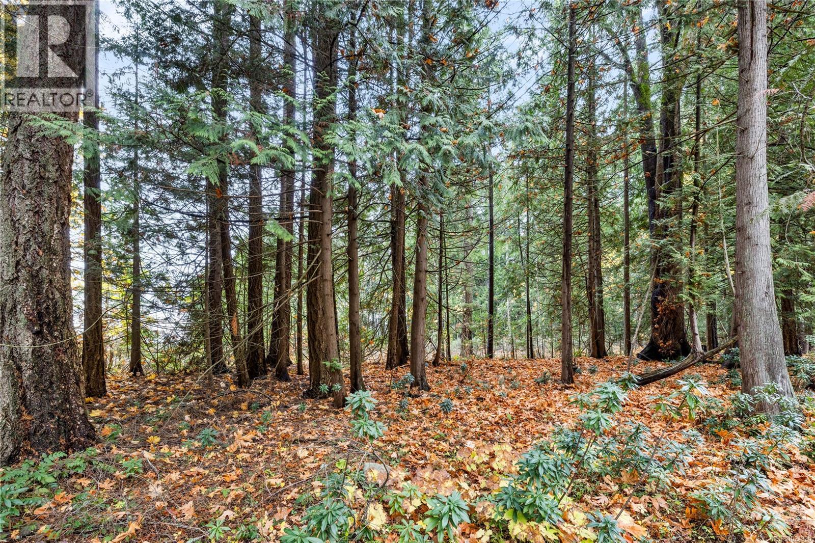 2328 Yellow Point Rd - 35