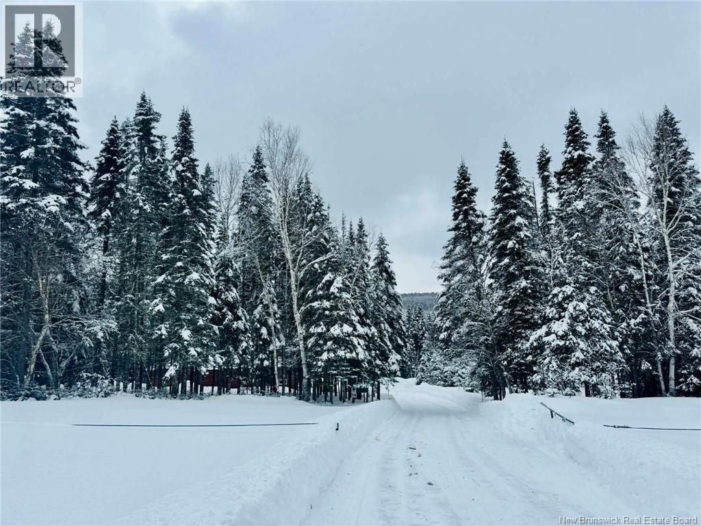 Caribou Brook - 7