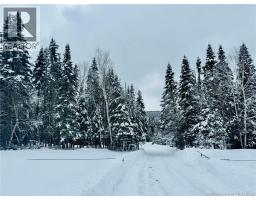 Caribou Brook, Riviere Verte, NB E7B2Y7 Photo 7