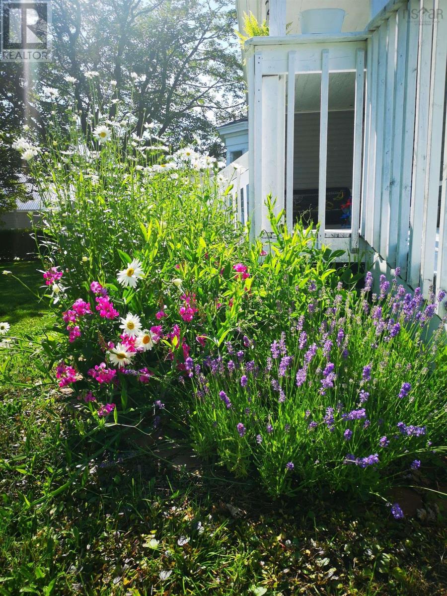 Property 45 of 49 of 15 Brunswick Street