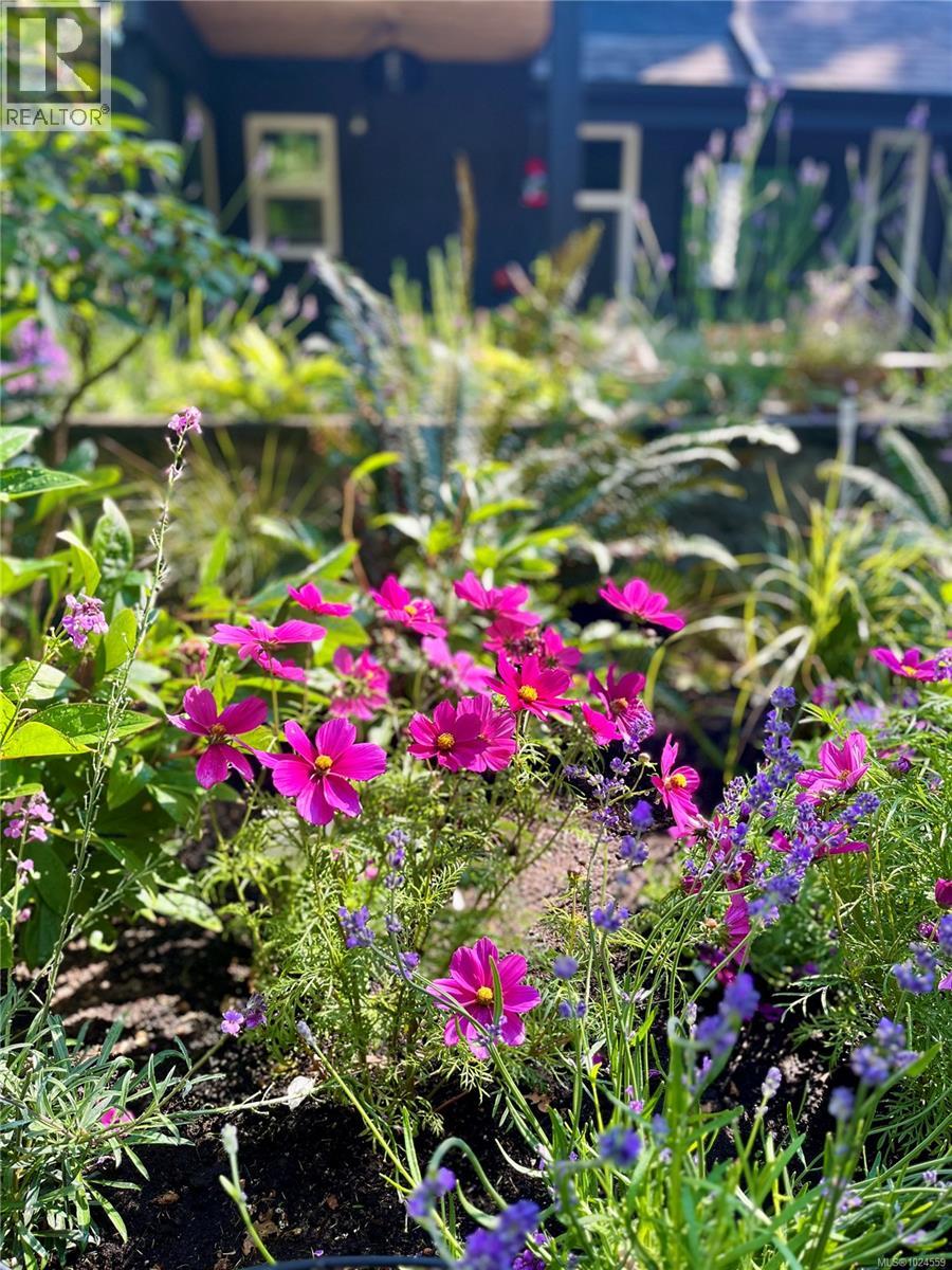  2025 Runnymede Avenue, Oak Bay