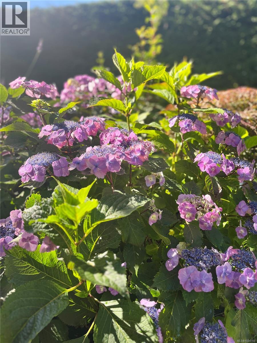  2025 Runnymede Avenue, Oak Bay