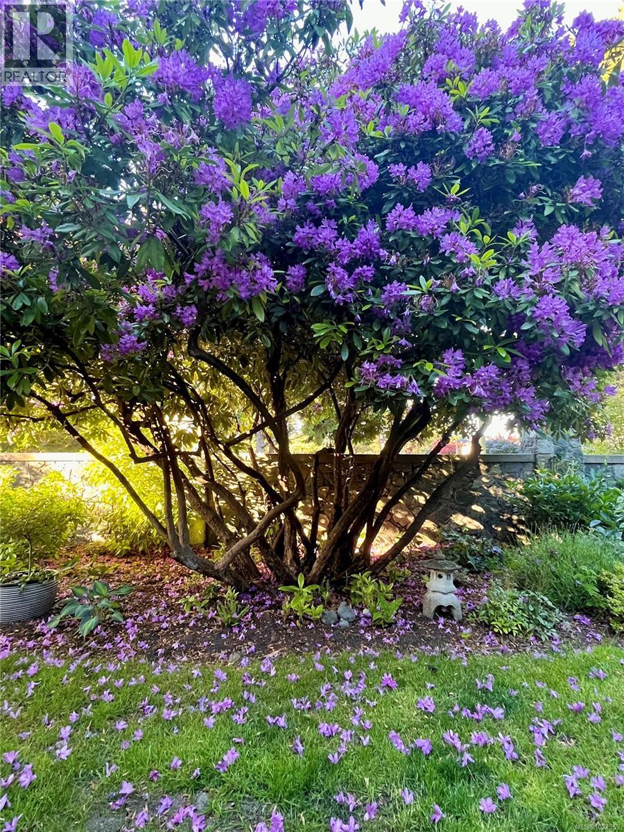  2025 Runnymede Avenue, Oak Bay