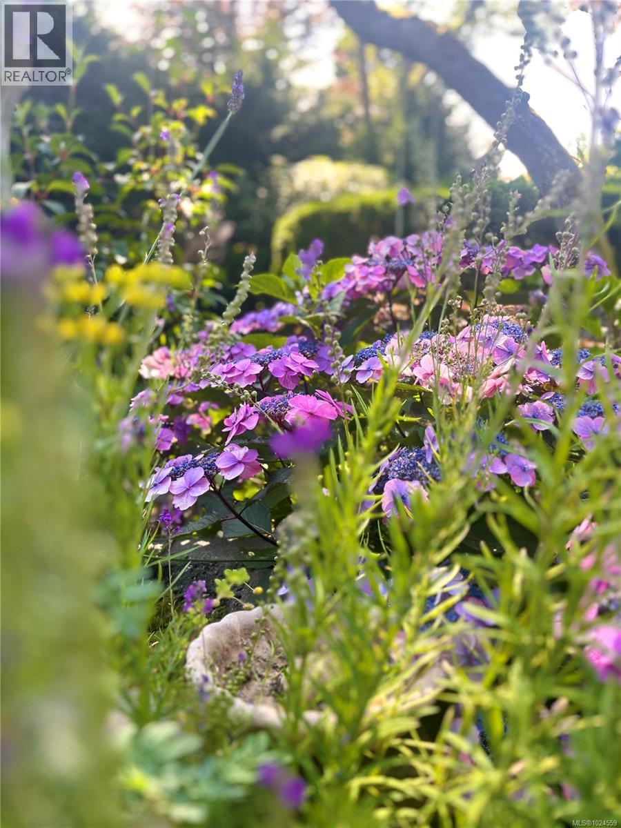  2025 Runnymede Avenue, Oak Bay