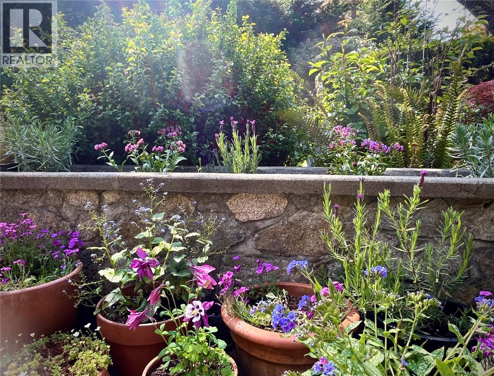  2025 Runnymede Avenue, Oak Bay