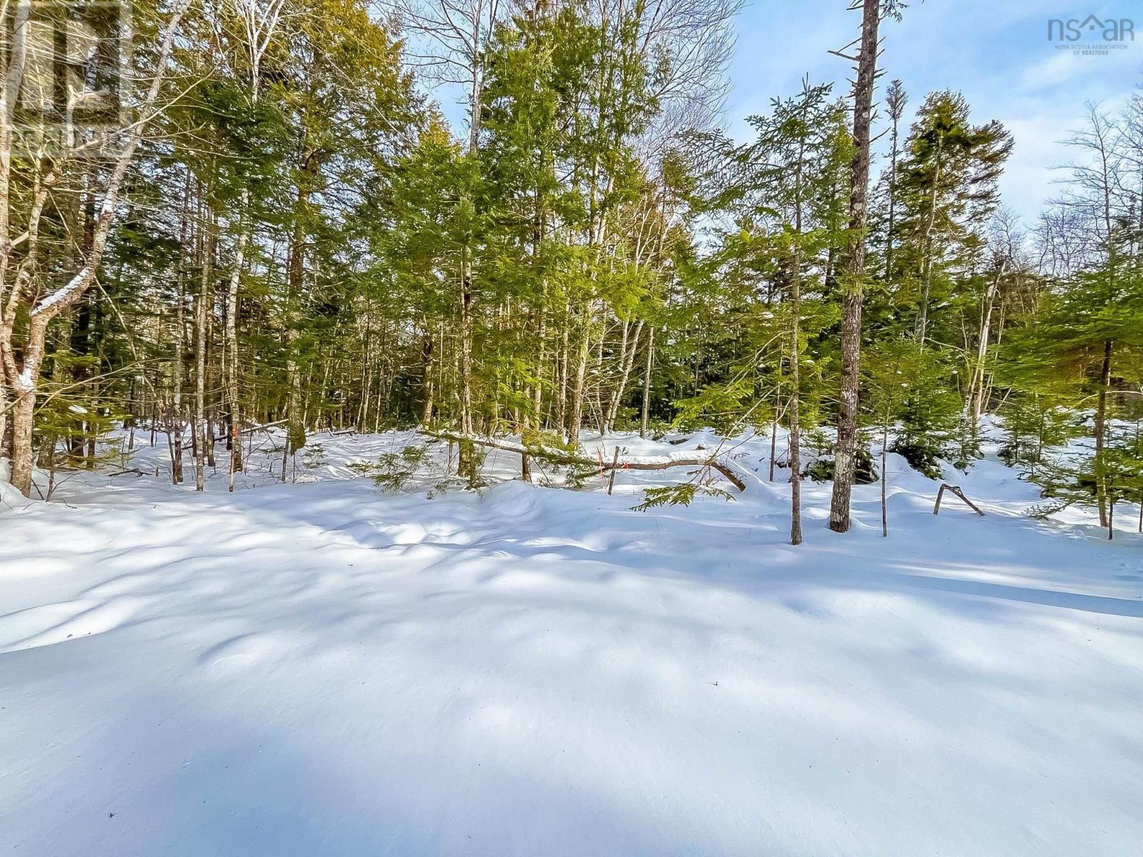 Property 5 of 6 of Lot 9 Conquerall Road