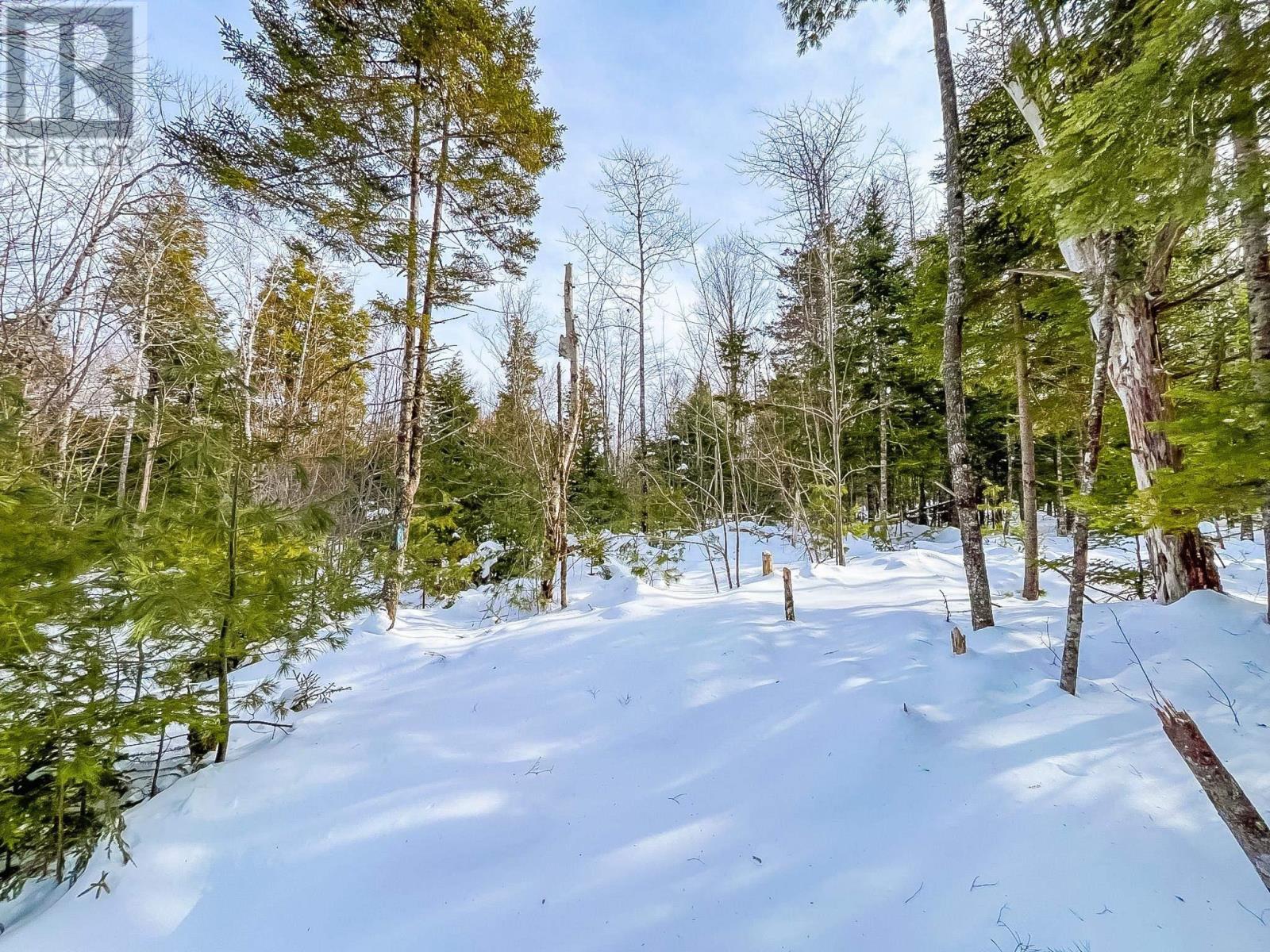 Property 4 of 6 of Lot 9 Conquerall Road