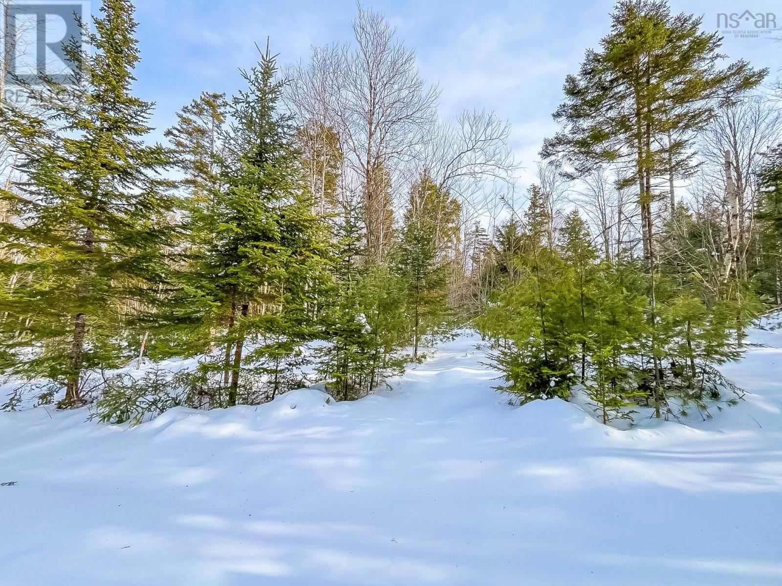 Property 4 of 5 of Lot 8 Conquerall Road