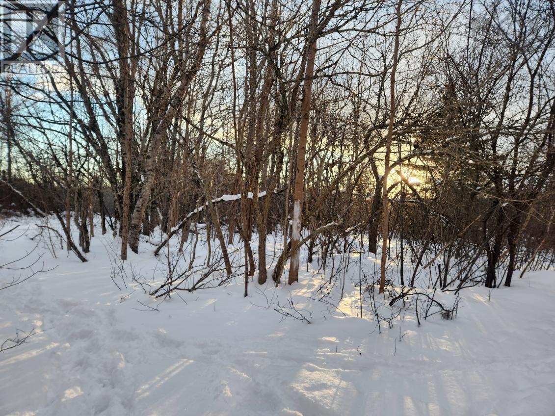 Property photo of 8 Acres Cedar Road, Church Hill