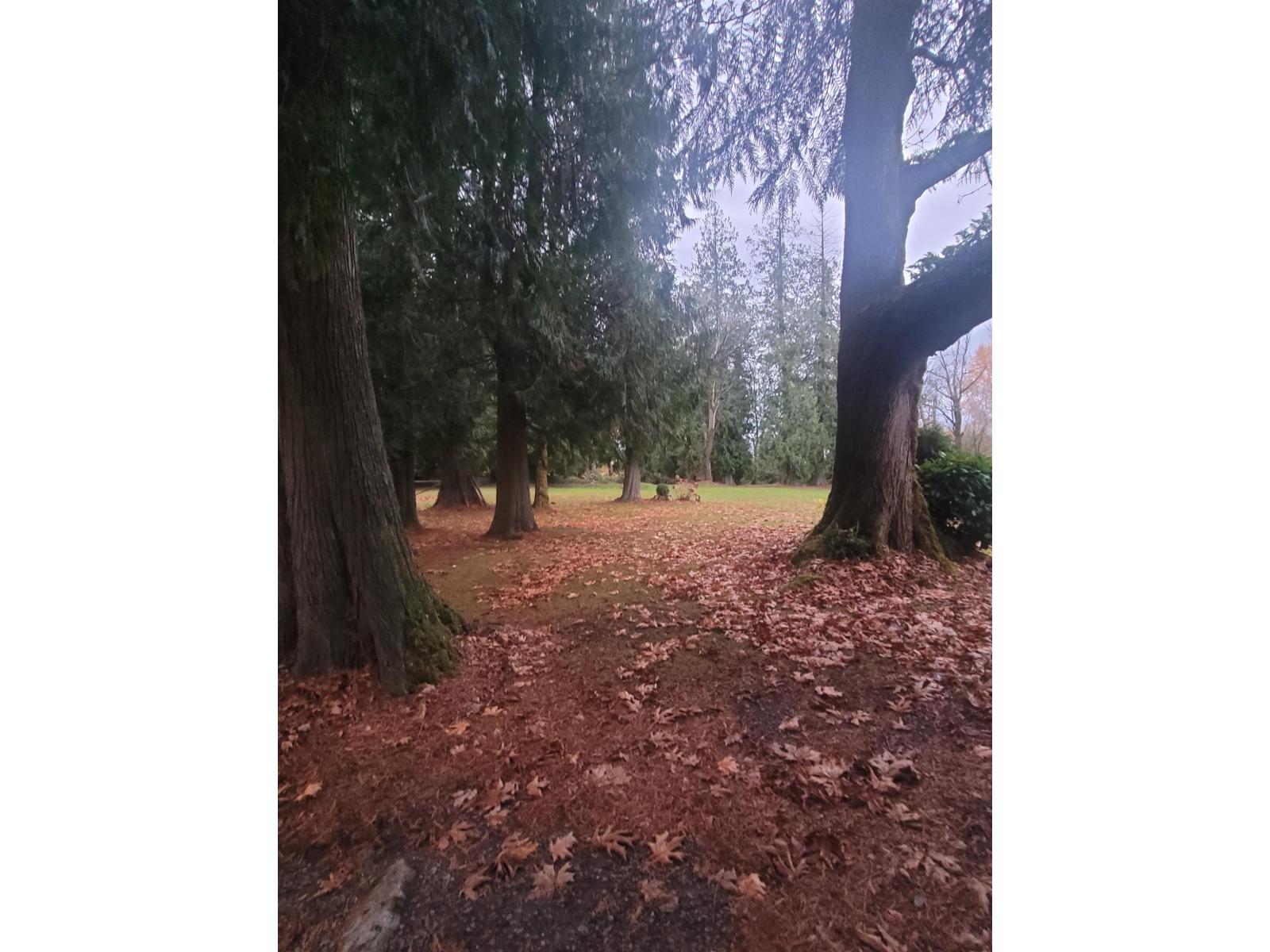 21457 78 AVENUE, Langley