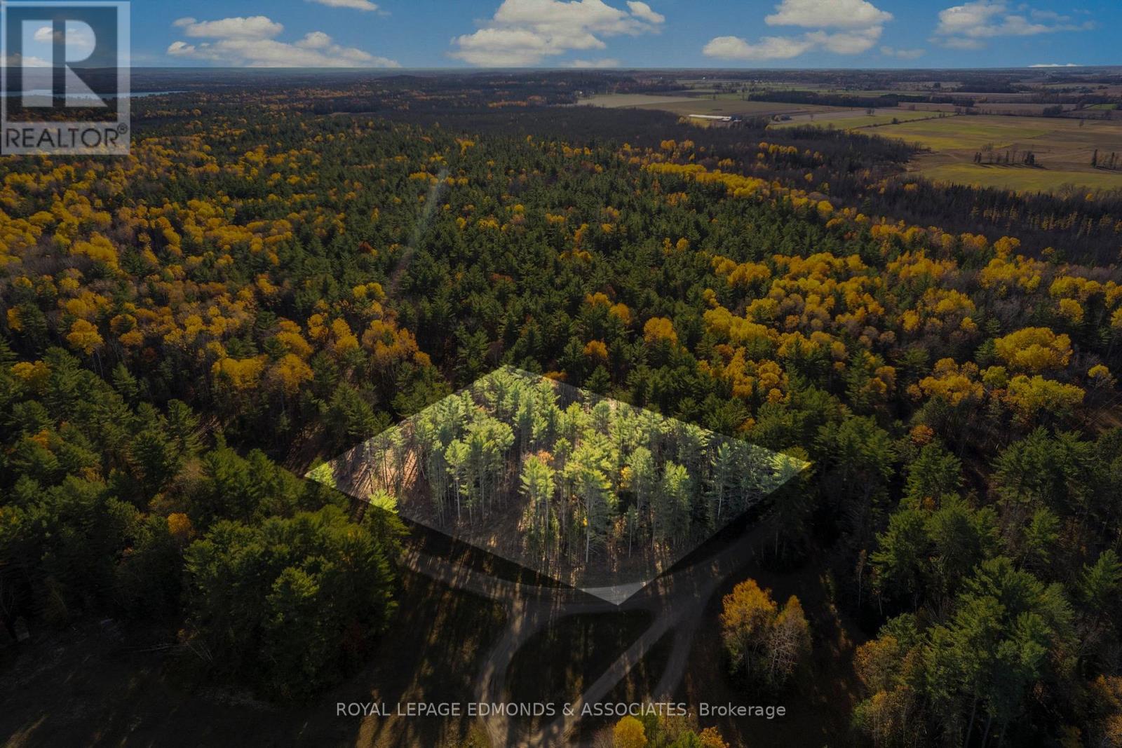 100 NANGOR TRAIL - Photo 3 of 11, Whitewater Region, Ontario
