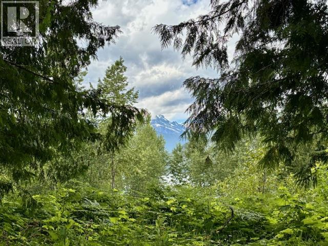 424 GALENA SHORES DRIVE - 21