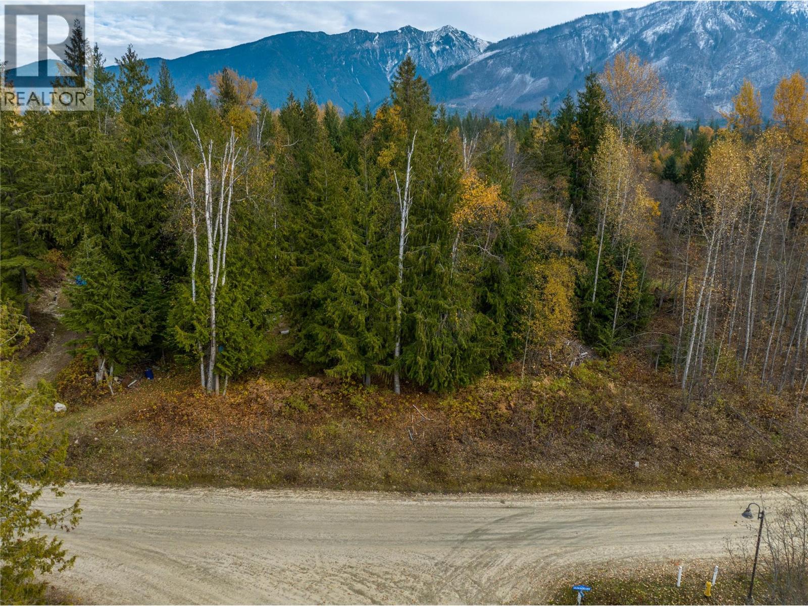 424 GALENA SHORES DRIVE - 42