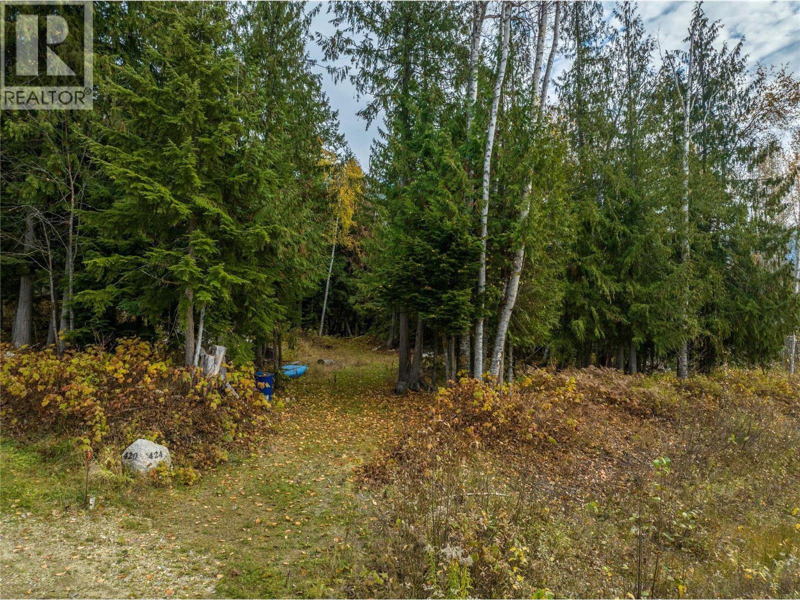 424 GALENA SHORES DRIVE - 43