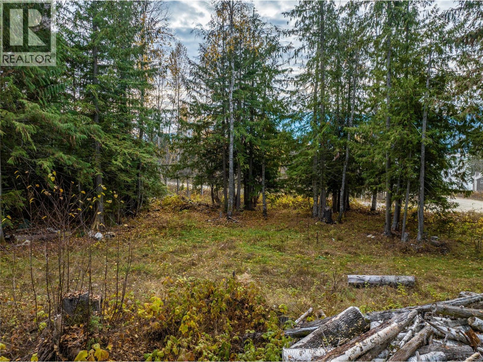 424 GALENA SHORES DRIVE - 45