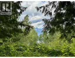424 Galena Shores Drive, Galena Bay, BC V0G1R0 Photo 21