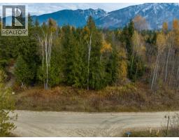 424 Galena Shores Drive, Galena Bay, BC V0G1R0 Photo 42
