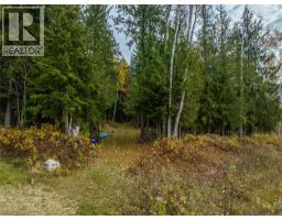 424 Galena Shores Drive, Galena Bay, BC V0G1R0 Photo 43