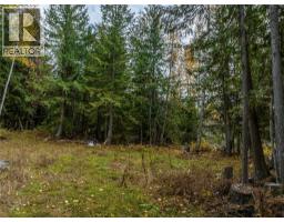 424 Galena Shores Drive, Galena Bay, BC V0G1R0 Photo 44