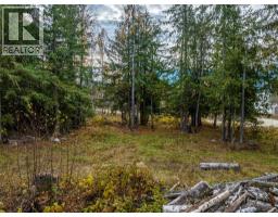 424 Galena Shores Drive, Galena Bay, BC V0G1R0 Photo 45