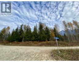 424 Galena Shores Drive, Galena Bay, BC V0G1R0 Photo 50