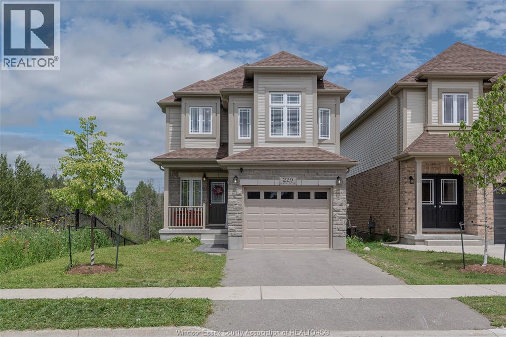 229 MACALISTER BOULEVARD - 6