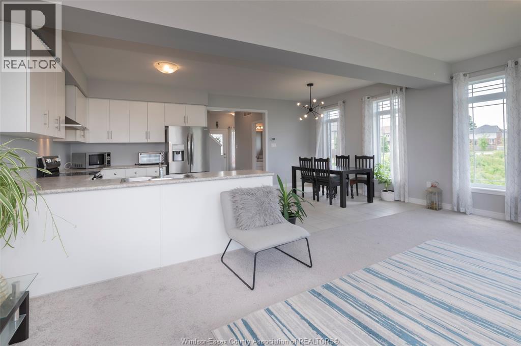 229 MACALISTER BOULEVARD - 9