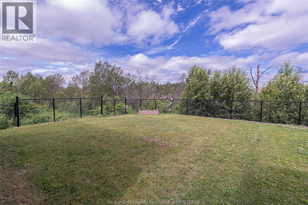 229 MACALISTER BOULEVARD - 47