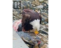 Dl 2200 Oona River Avenue, Prince Rupert, BC V0V1E0 Photo 8