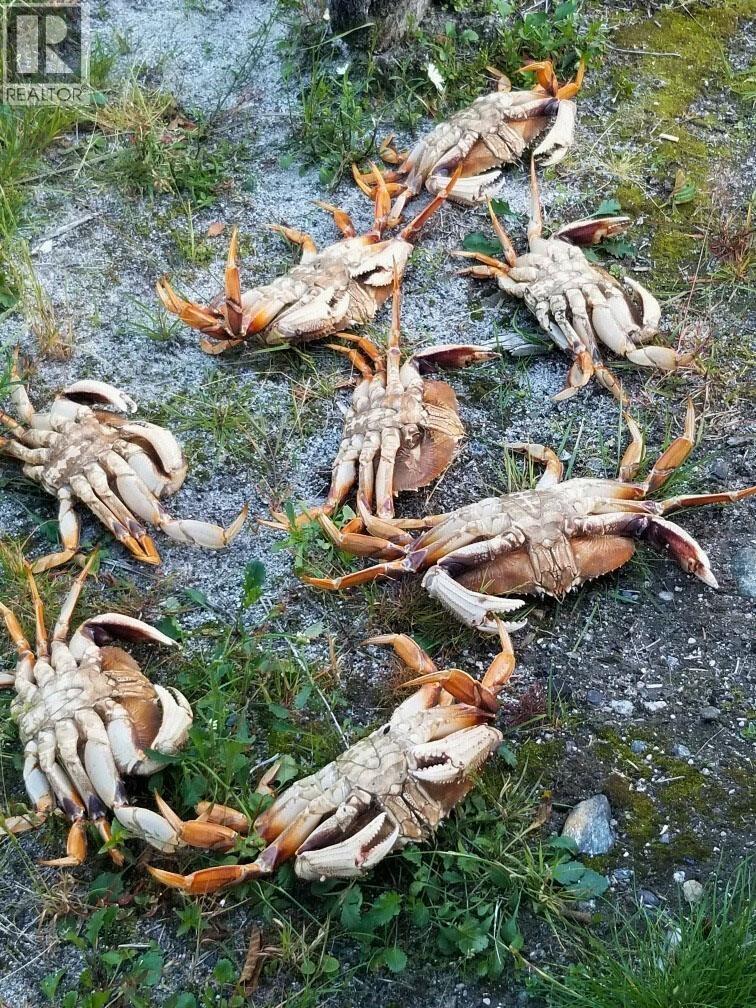 DL 2200 OONA RIVER AVENUE, Prince Rupert