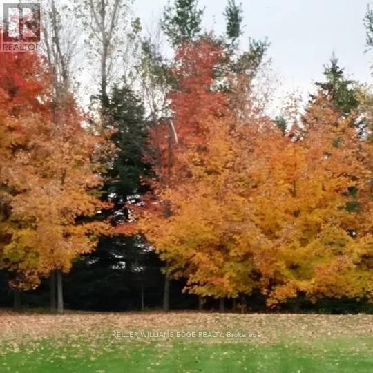 2264 BRITANNIA ROAD - 45