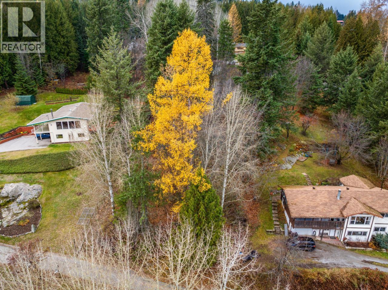 1101 SPOKANE Street - Photo 4 of 34, Rossland, British Columbia