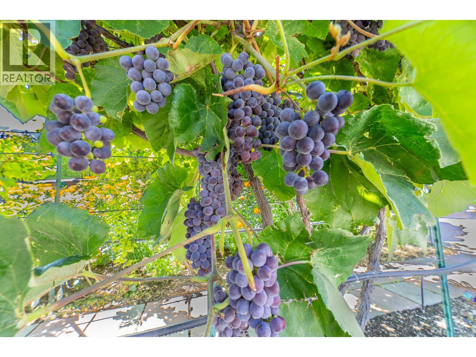  517 Vanderlinde Drive, Keremeos