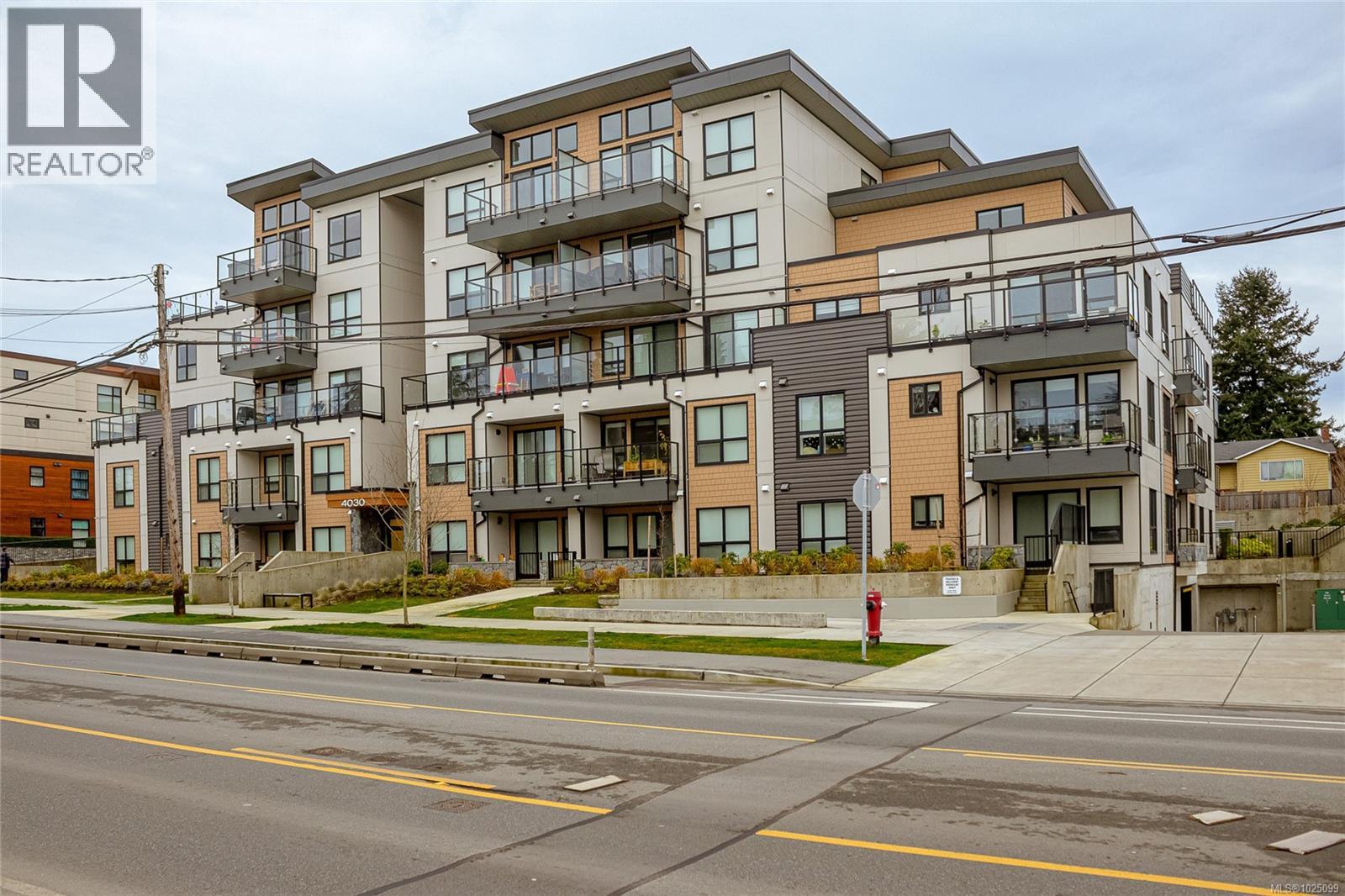 #203 4030 Shelbourne St - 1