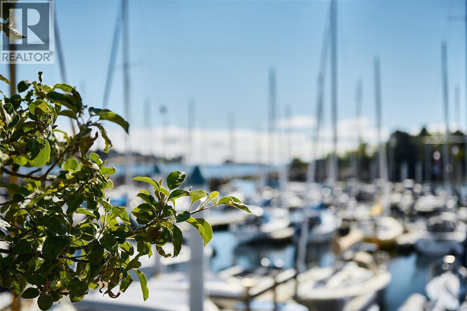  3908 Woodlands Place, Saanich