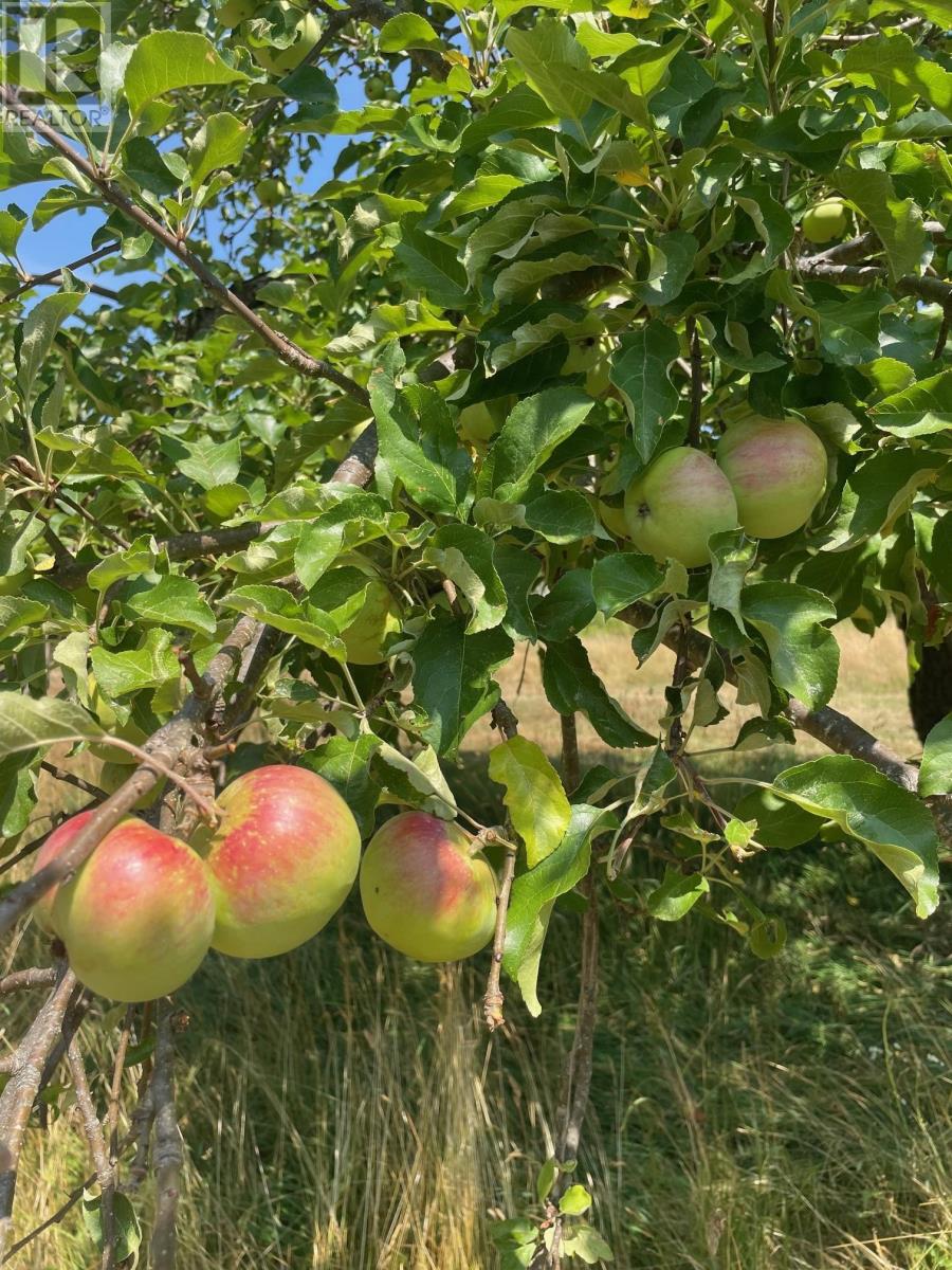 Property 39 of 43 of 960 Highway 208