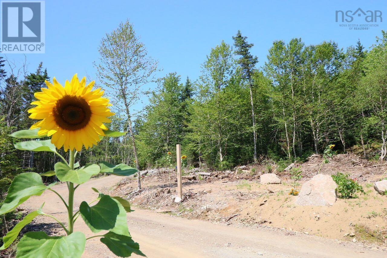 Property 32 of 44 of 235 Condons Lake Drive