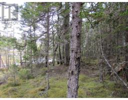 Lot 5 Hirtle Island, Lahave Islands, NS B0R1C0 Photo 14