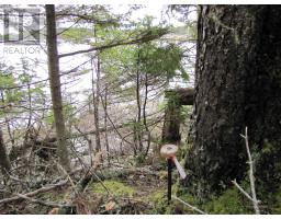Lot 5 Hirtle Island, Lahave Islands, NS B0R1C0 Photo 6