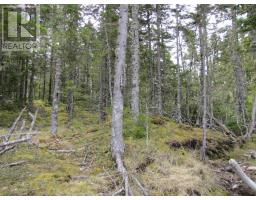 Lot 5 Hirtle Island, Lahave Islands, NS B0R1C0 Photo 10