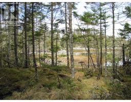 Lot 5 Hirtle Island, Lahave Islands, NS B0R1C0 Photo 15