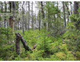 Lot 5 Hirtle Island, Lahave Islands, NS B0R1C0 Photo 11