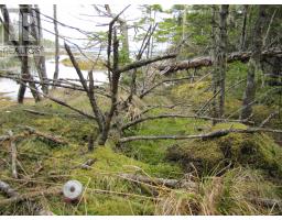 Lot 5 Hirtle Island, Lahave Islands, NS B0R1C0 Photo 25
