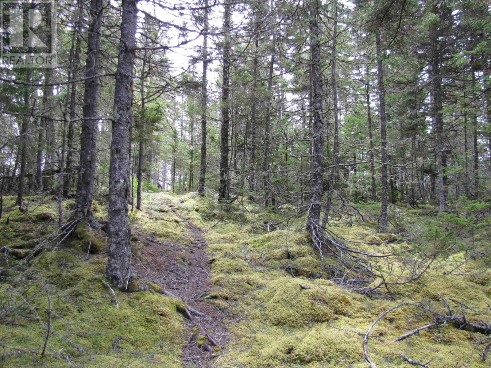 Property 29 of 30 of Lot 5 Hirtle Island