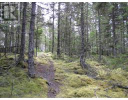 Lot 5 Hirtle Island, Lahave Islands, NS B0R1C0 Photo 26