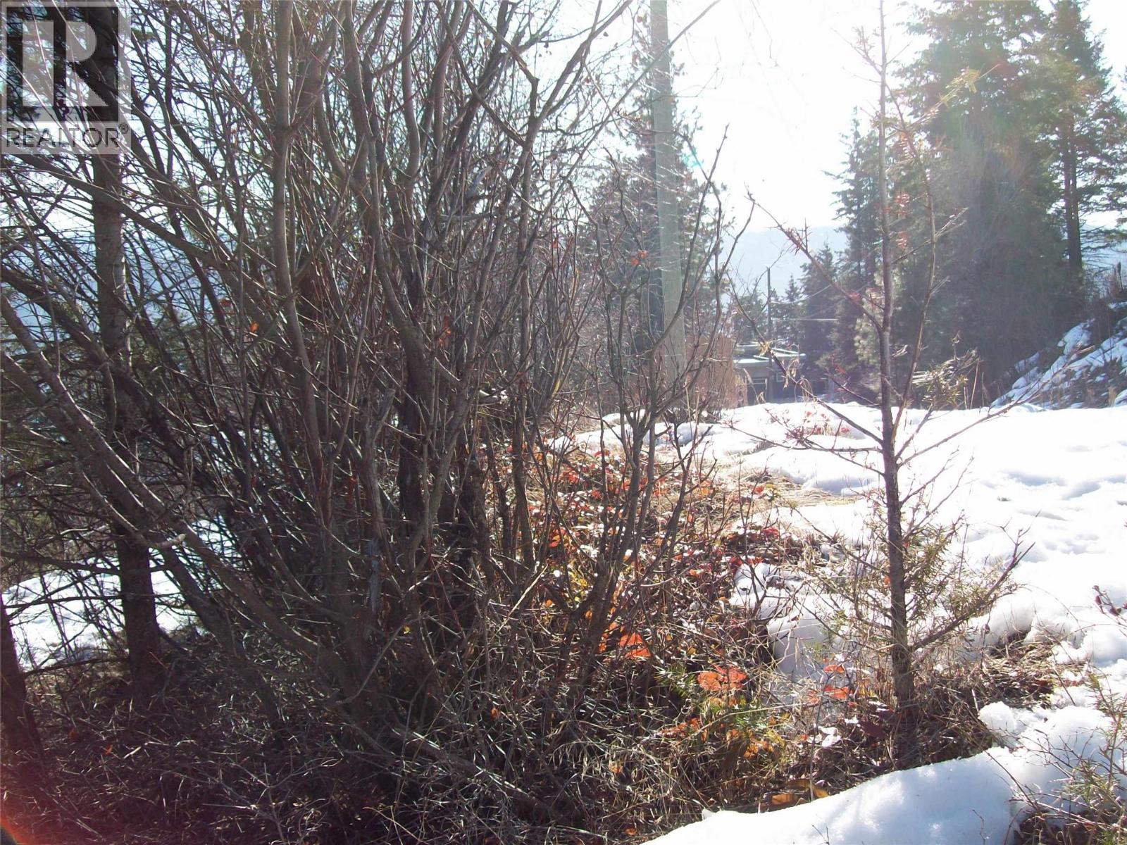  358 Mountain Drive, Vernon