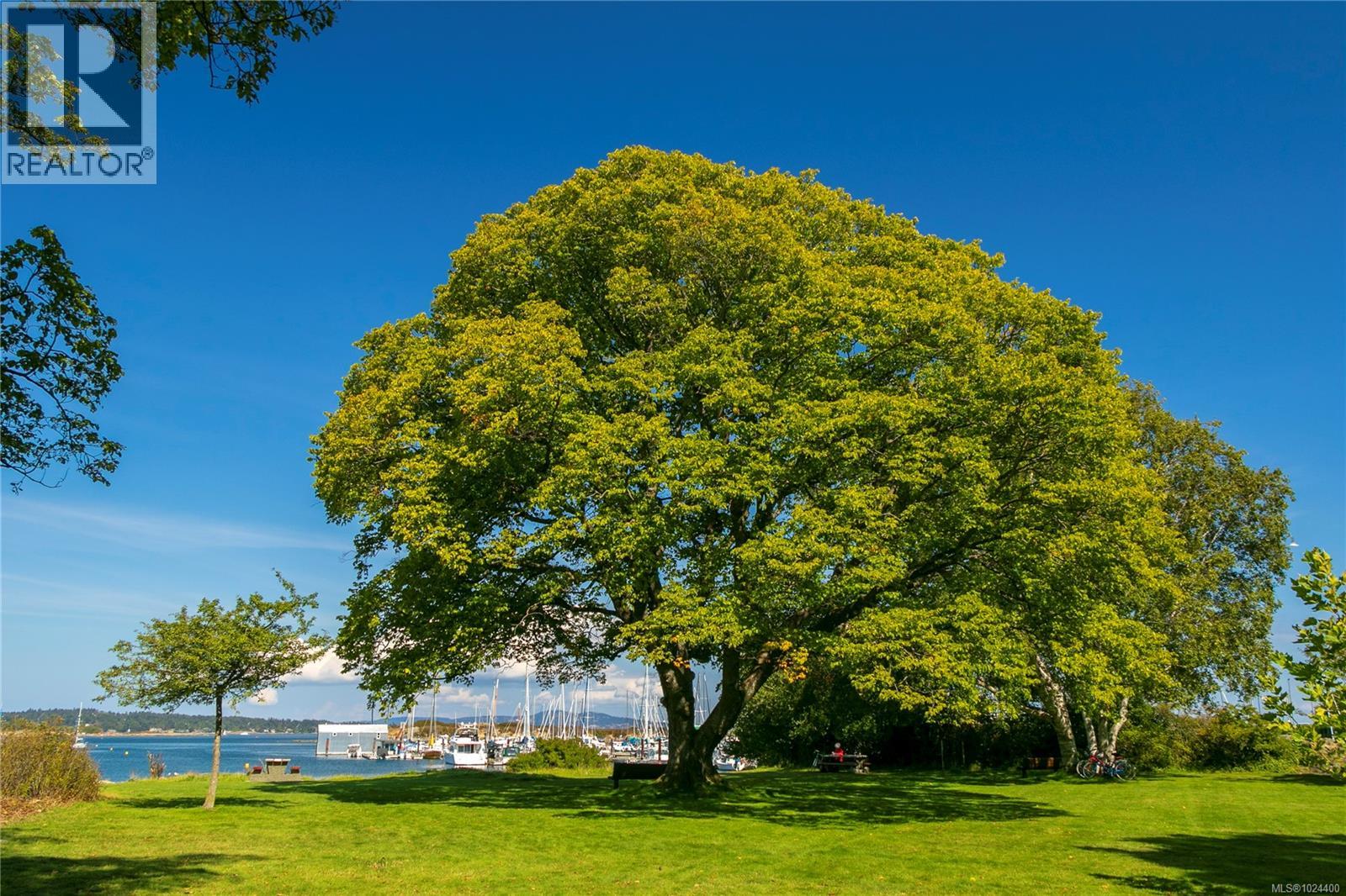 304 2605 Windsor Road, Oak Bay