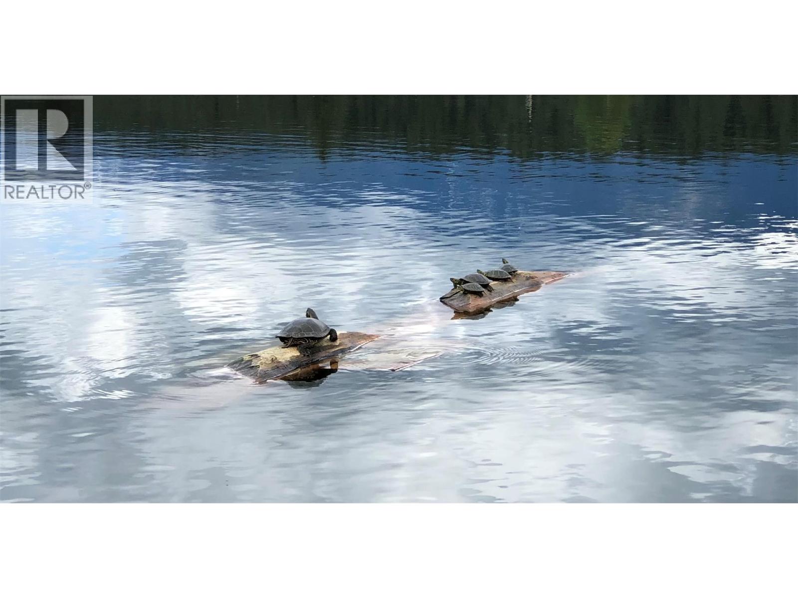  Wasa lake Park Drive, Wasa